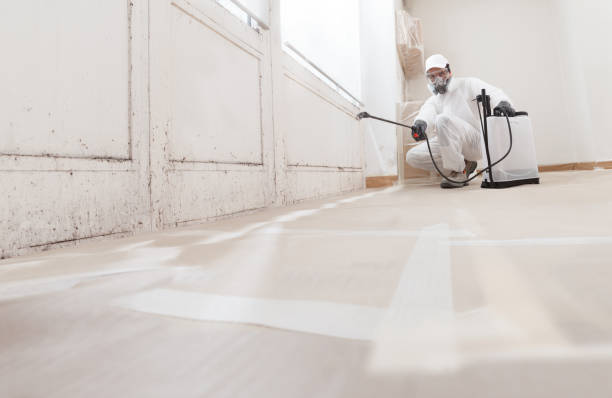 24/7 Emergency Mold Remediation experts in Chester, MD